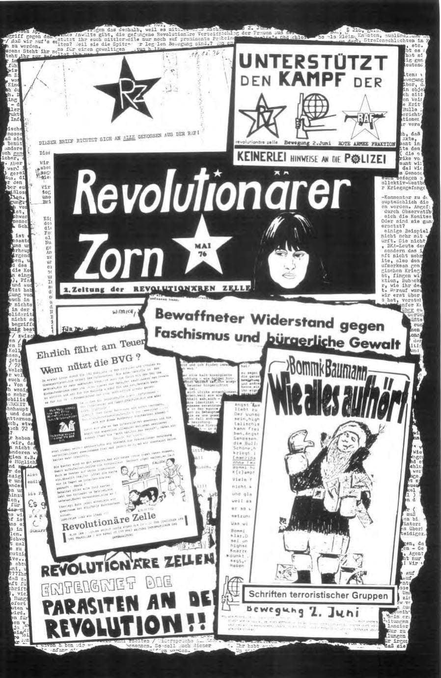 Seite 117 des Verfassungsschutzbericht 1976 Bund
