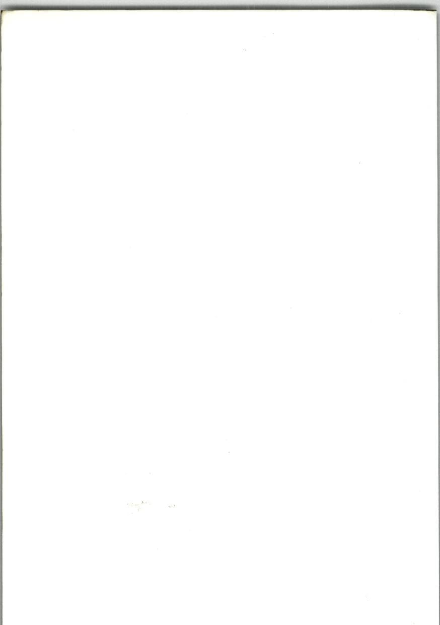 Seite 272 des Verfassungsschutzbericht 1985 Bund