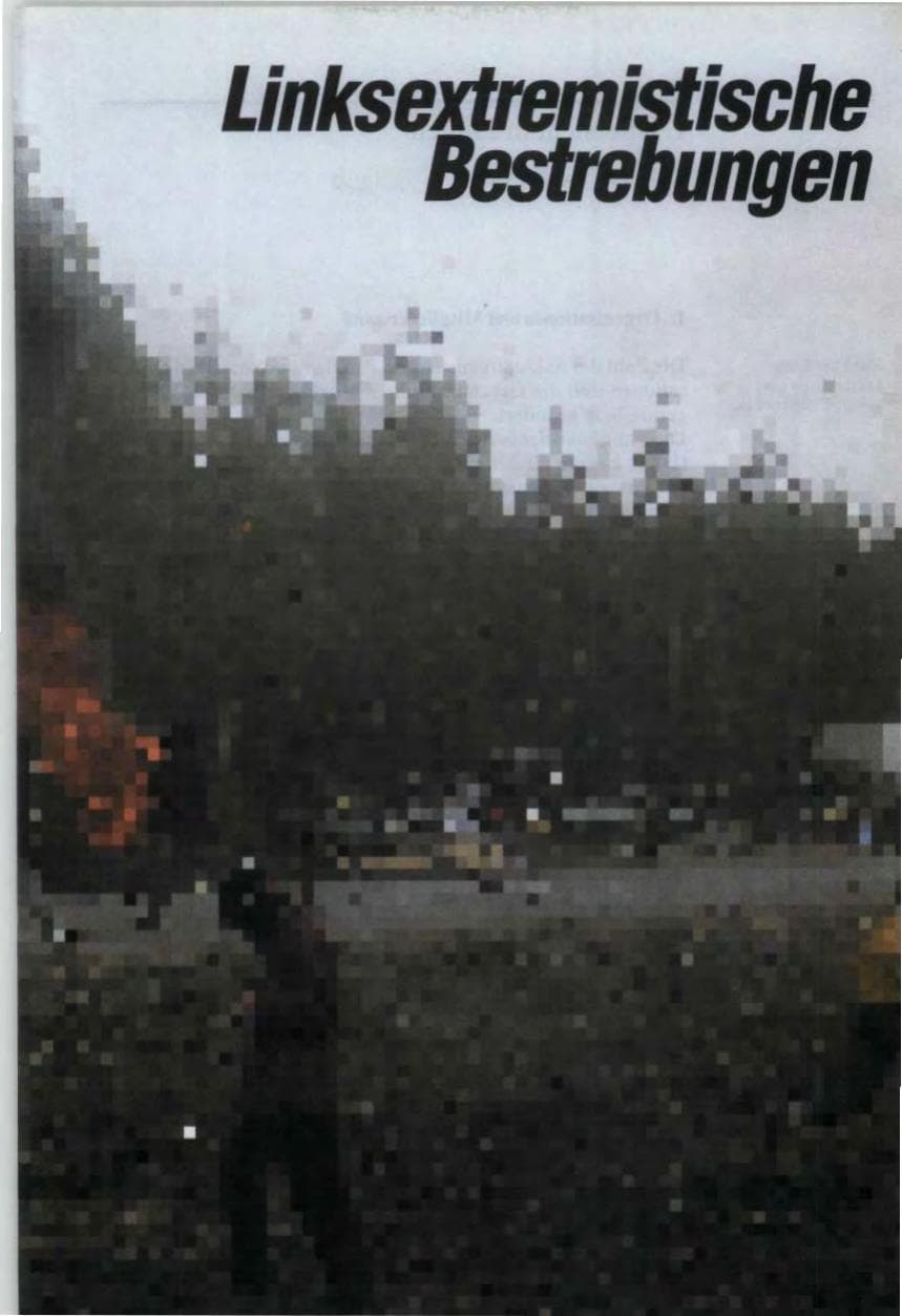 Seite 19 des Verfassungsschutzbericht 1987 Bund