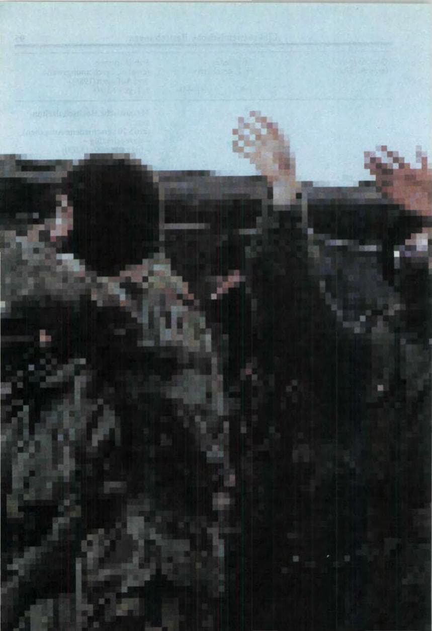 Seite 96 des Verfassungsschutzbericht 1987 Bund