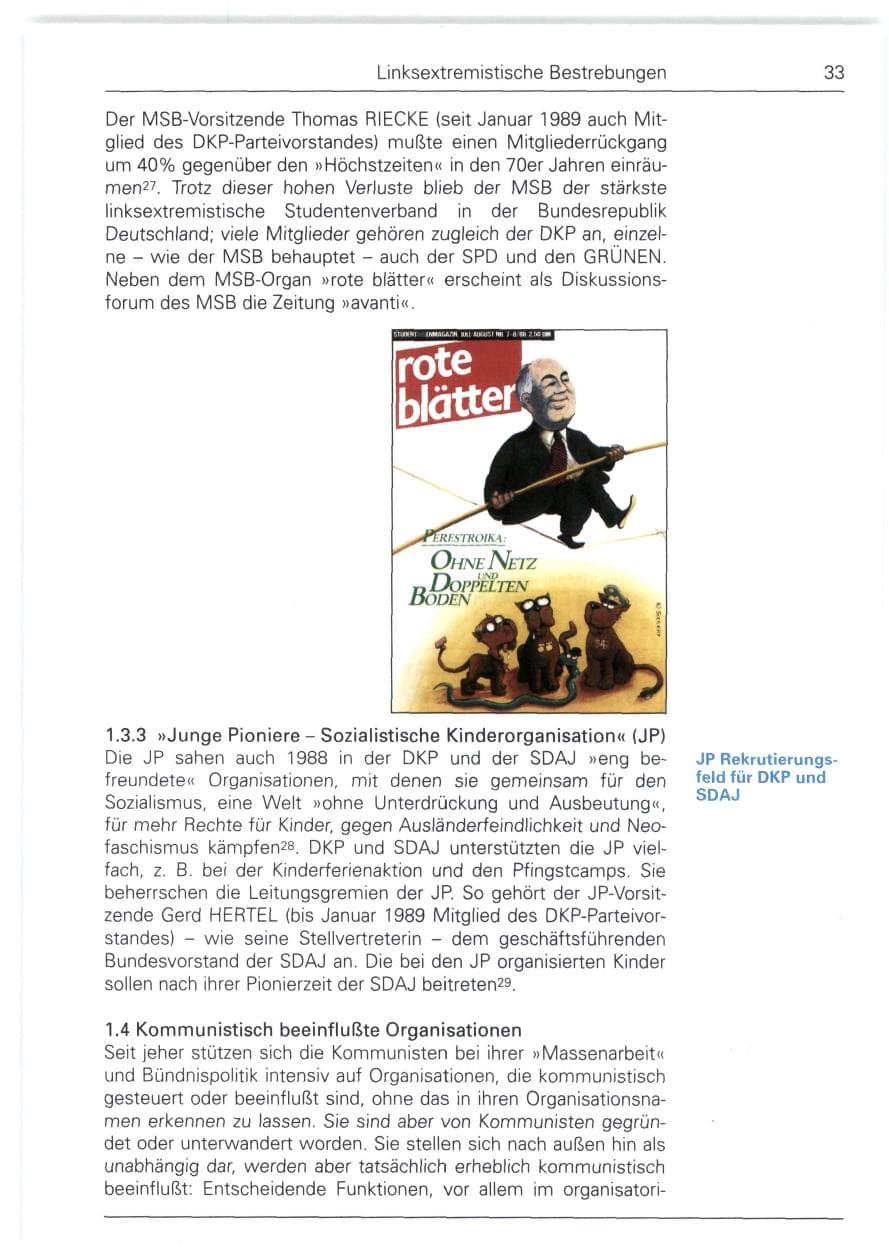 Seite 33 des Verfassungsschutzbericht 1988 Bund