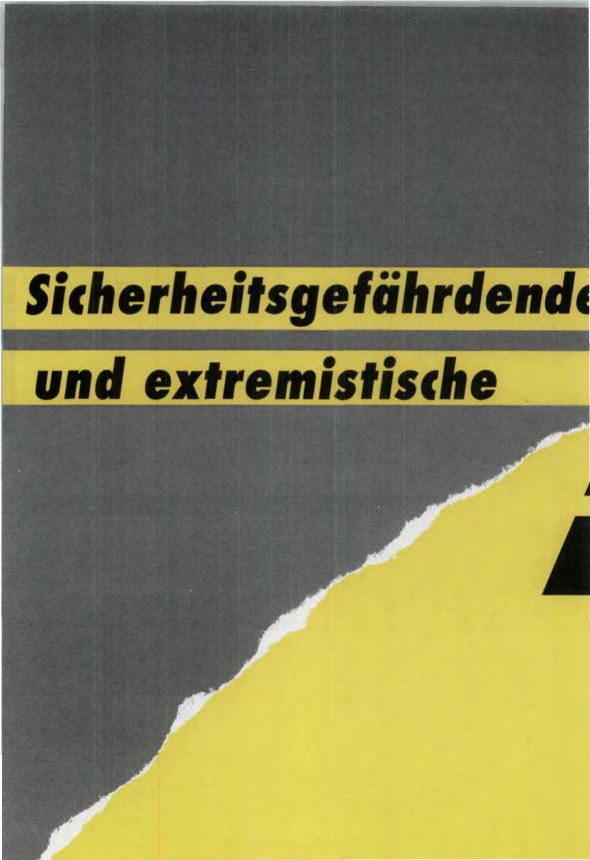 Seite 132 des Verfassungsschutzbericht 1991 Bund