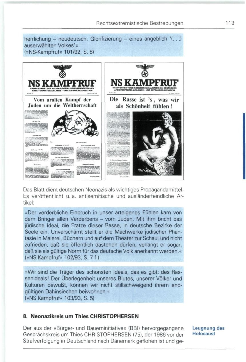 Seite 113 des Verfassungsschutzbericht 1993 Bund