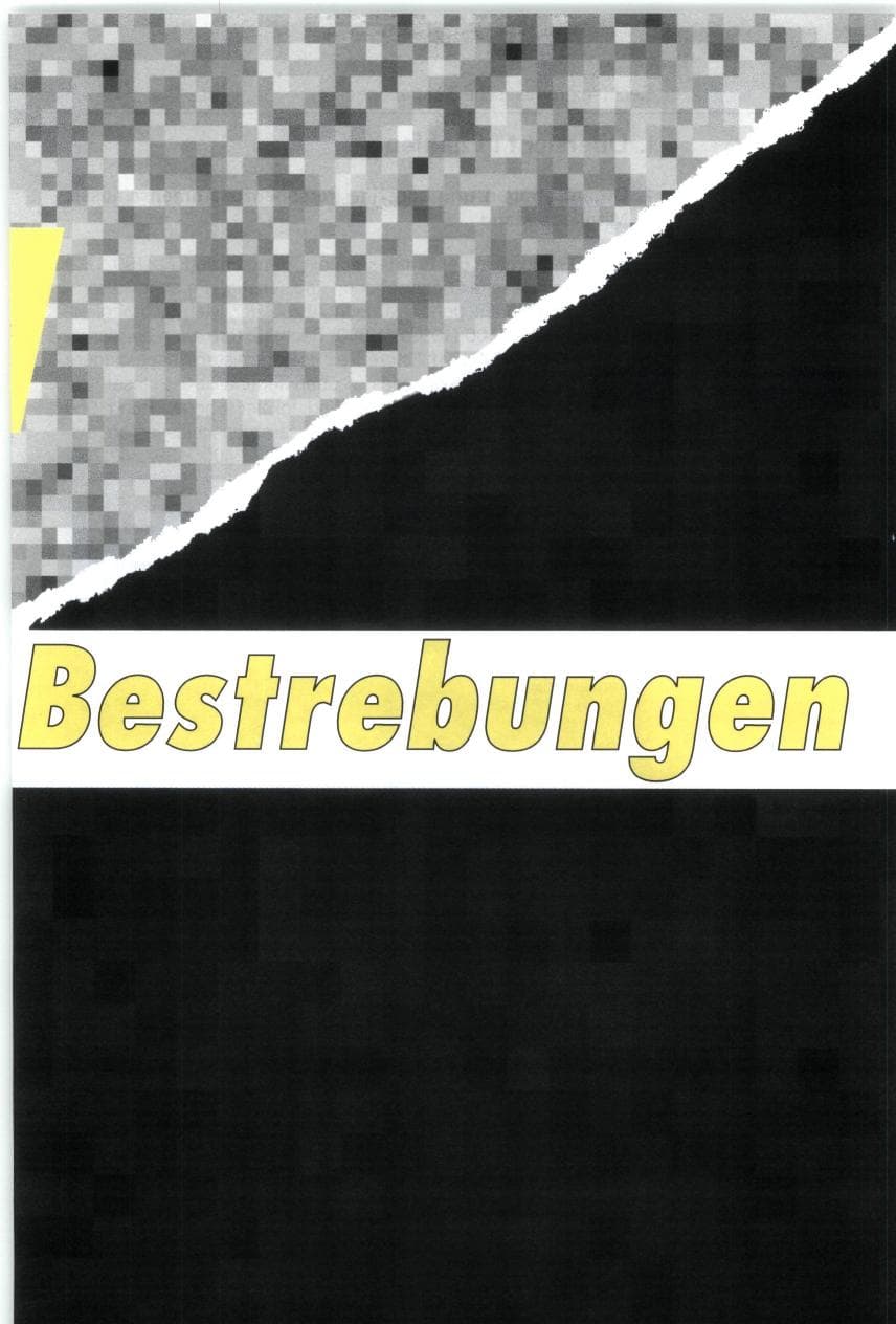 Seite 73 des Verfassungsschutzbericht 1993 Bund