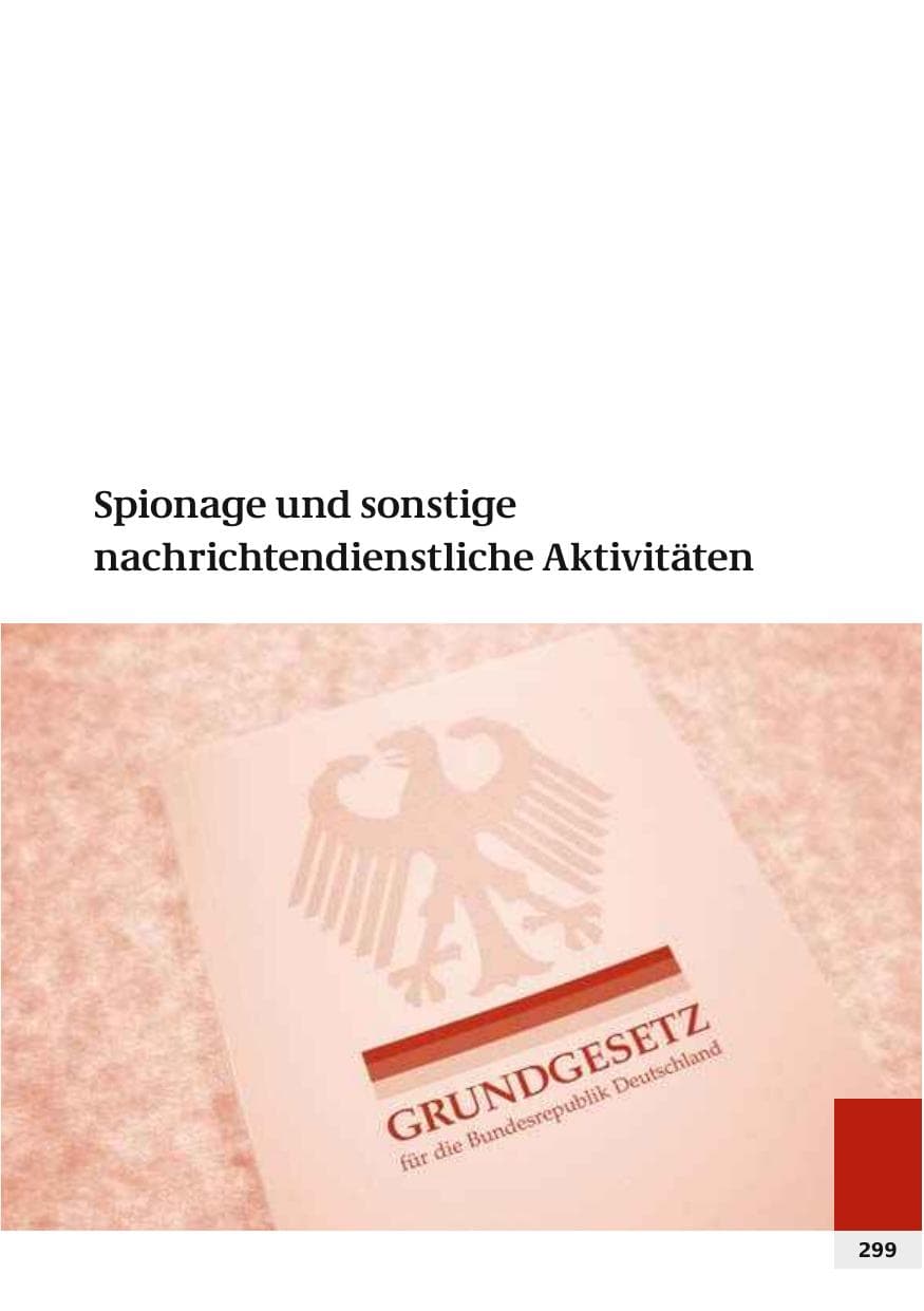Seite 302 des Verfassungsschutzbericht 2006 Bund