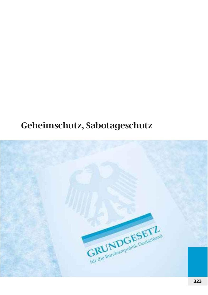 Seite 326 des Verfassungsschutzbericht 2006 Bund