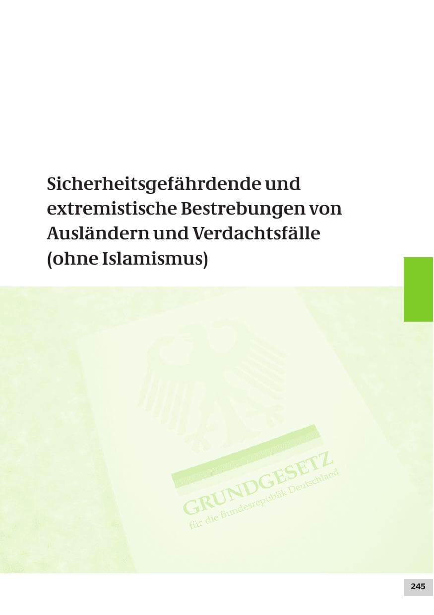 Seite 245 des Verfassungsschutzbericht 2007 Bund
