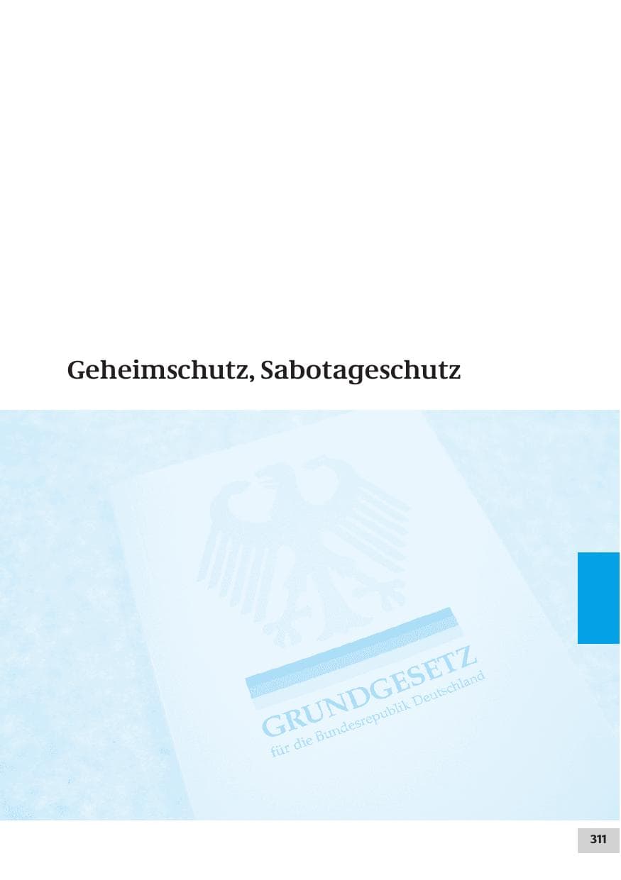 Seite 311 des Verfassungsschutzbericht 2007 Bund
