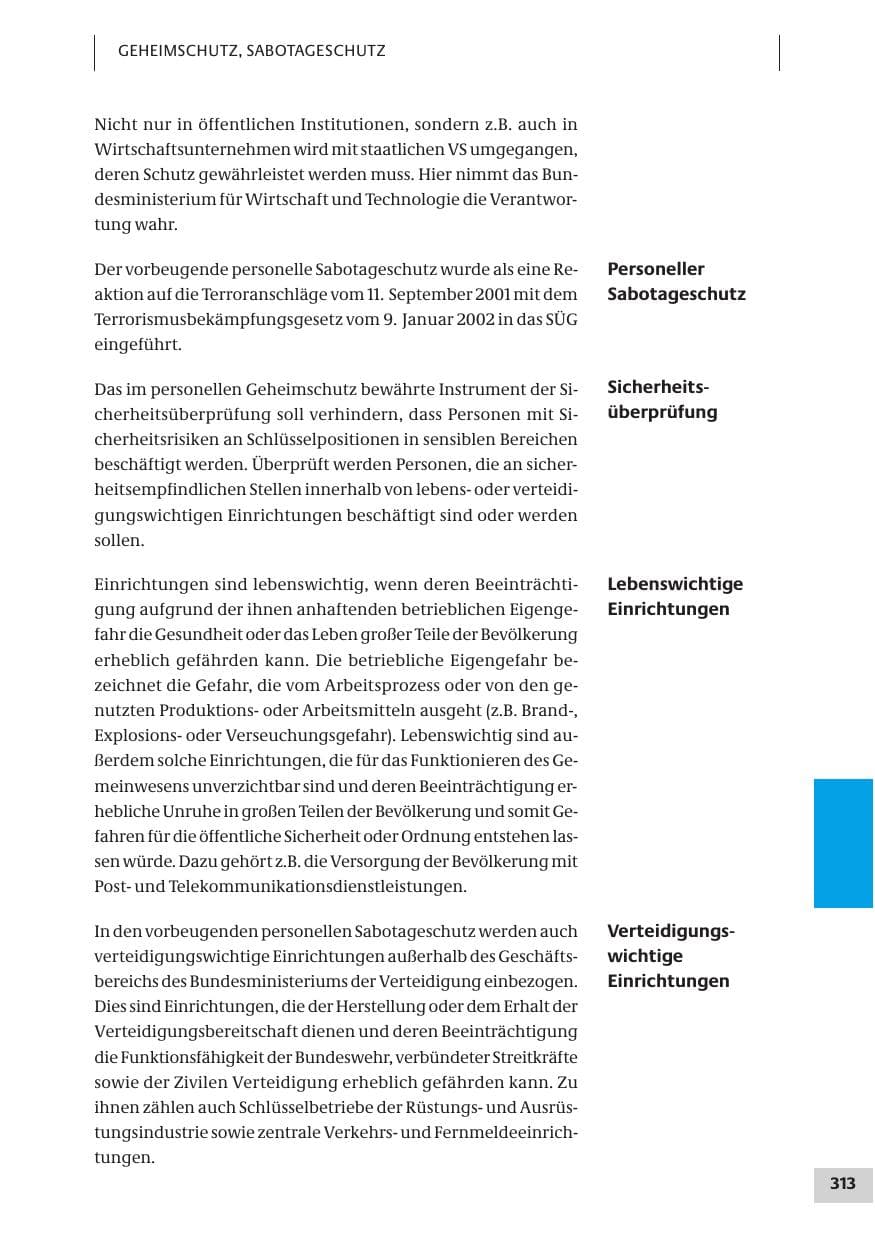 Seite 313 des Verfassungsschutzbericht 2007 Bund