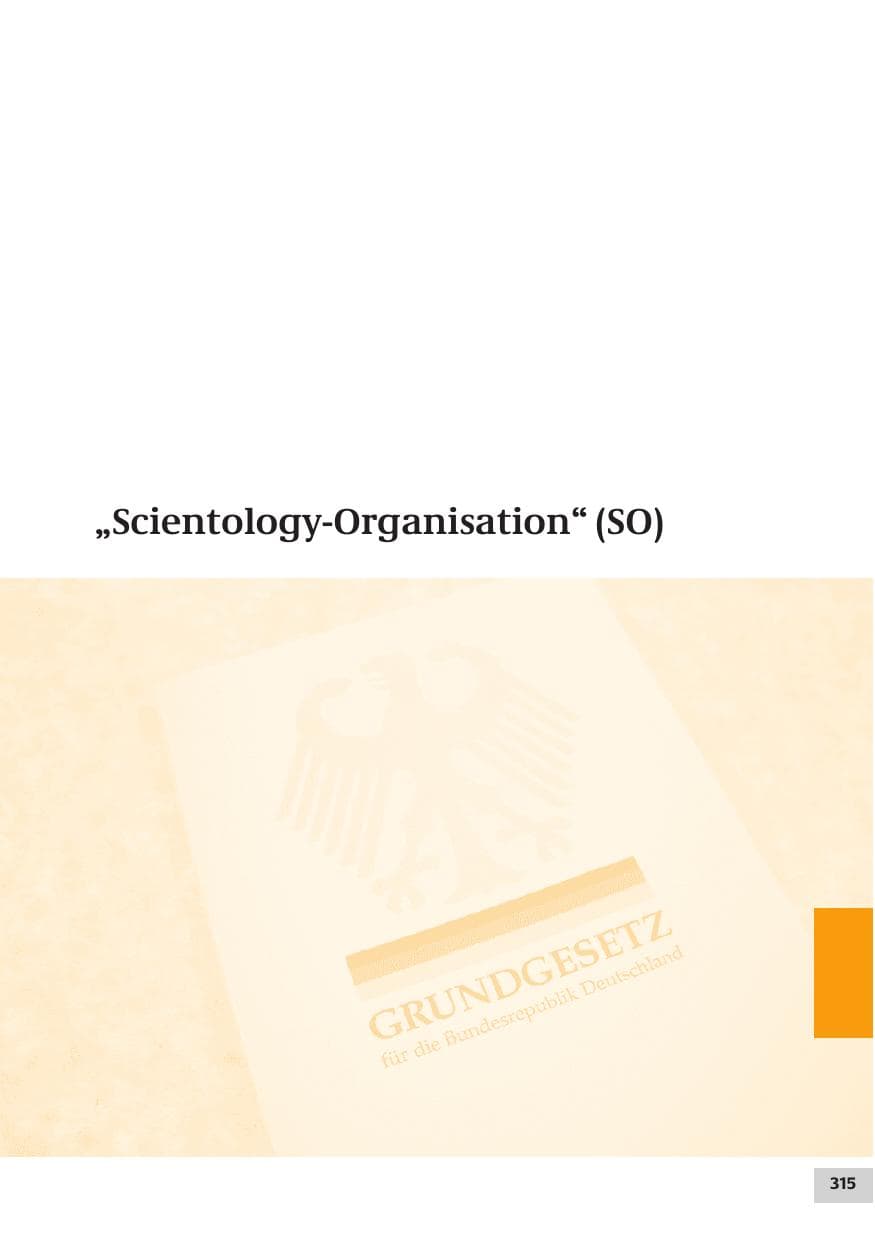 Seite 315 des Verfassungsschutzbericht 2007 Bund