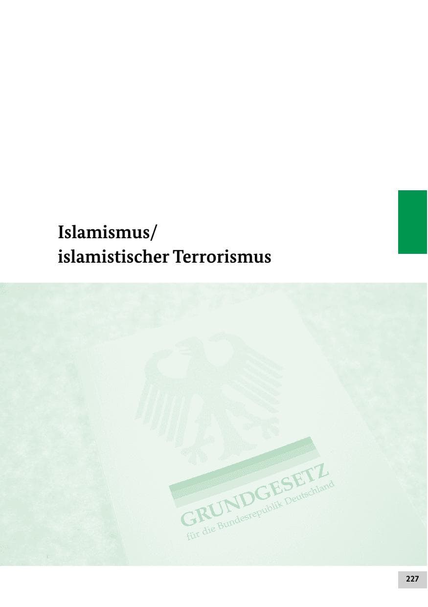 Seite 226 des Verfassungsschutzbericht 2012 Bund
