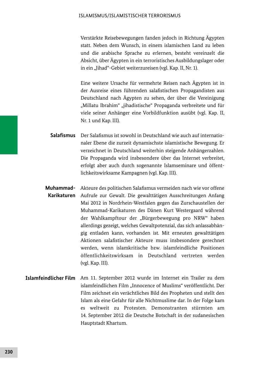 Seite 229 des Verfassungsschutzbericht 2012 Bund
