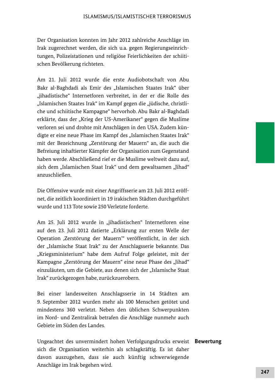 Seite 246 des Verfassungsschutzbericht 2012 Bund