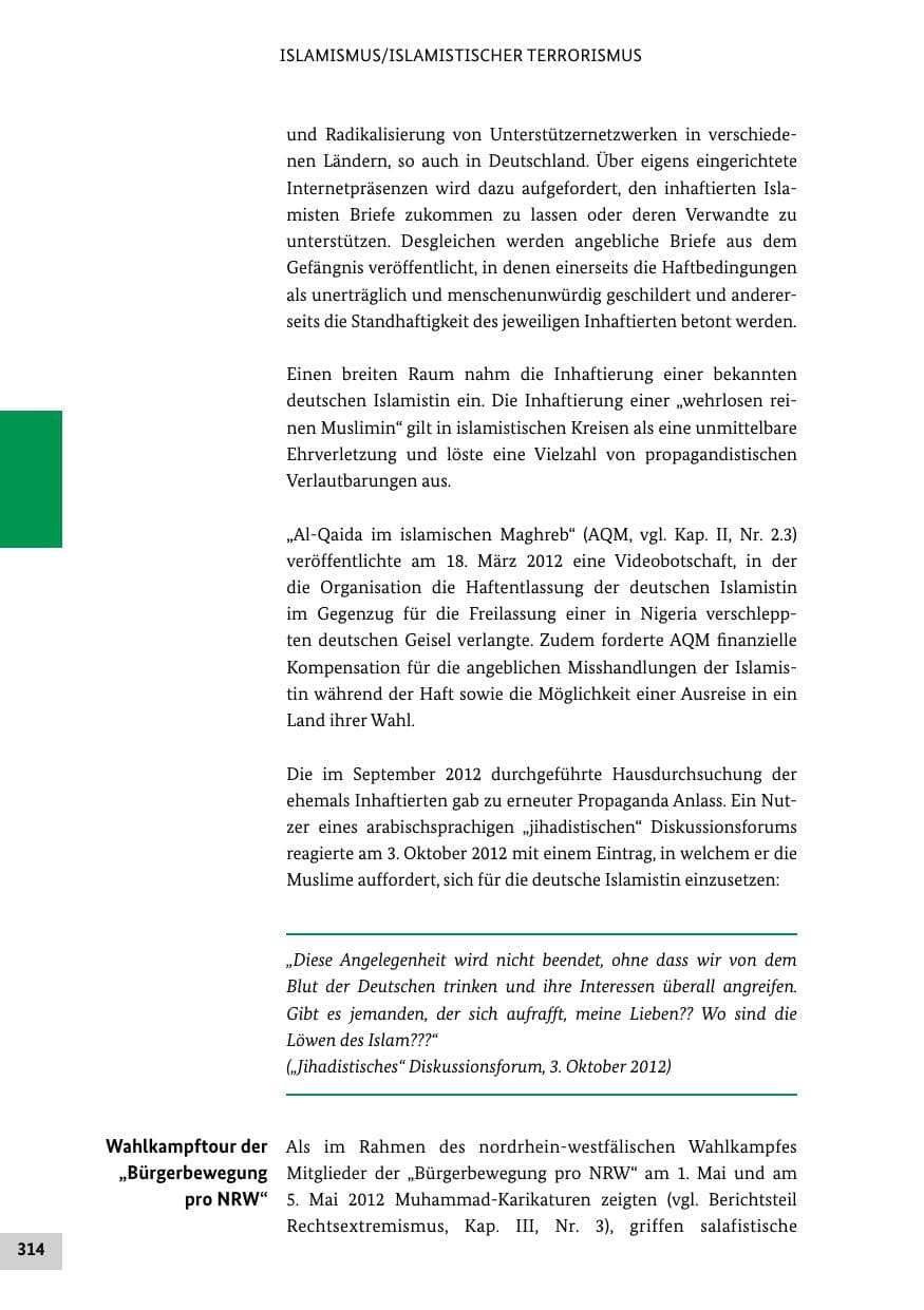 Seite 313 des Verfassungsschutzbericht 2012 Bund