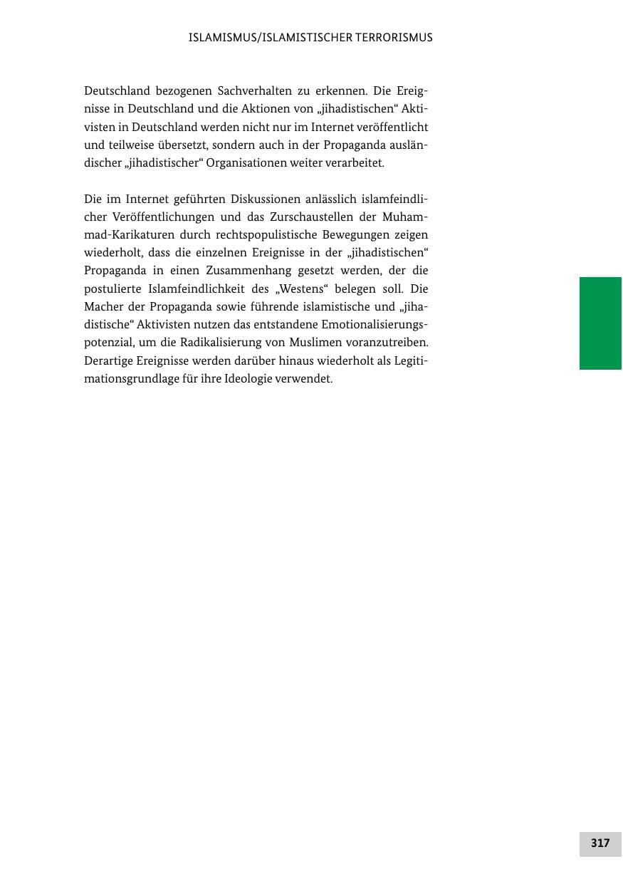 Seite 316 des Verfassungsschutzbericht 2012 Bund