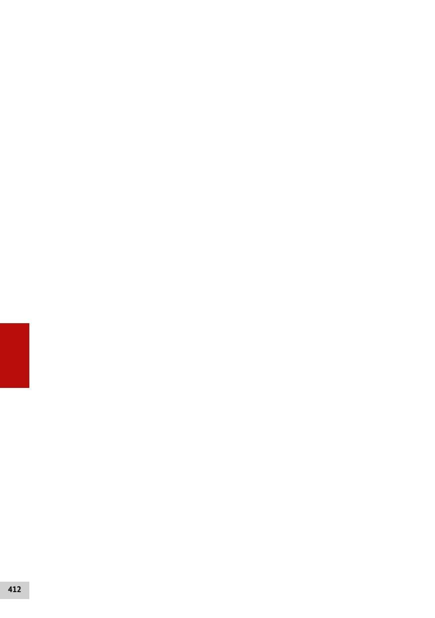 Seite 411 des Verfassungsschutzbericht 2012 Bund