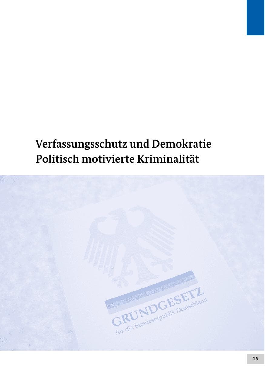 Seite 14 des Verfassungsschutzbericht 2013 Bund