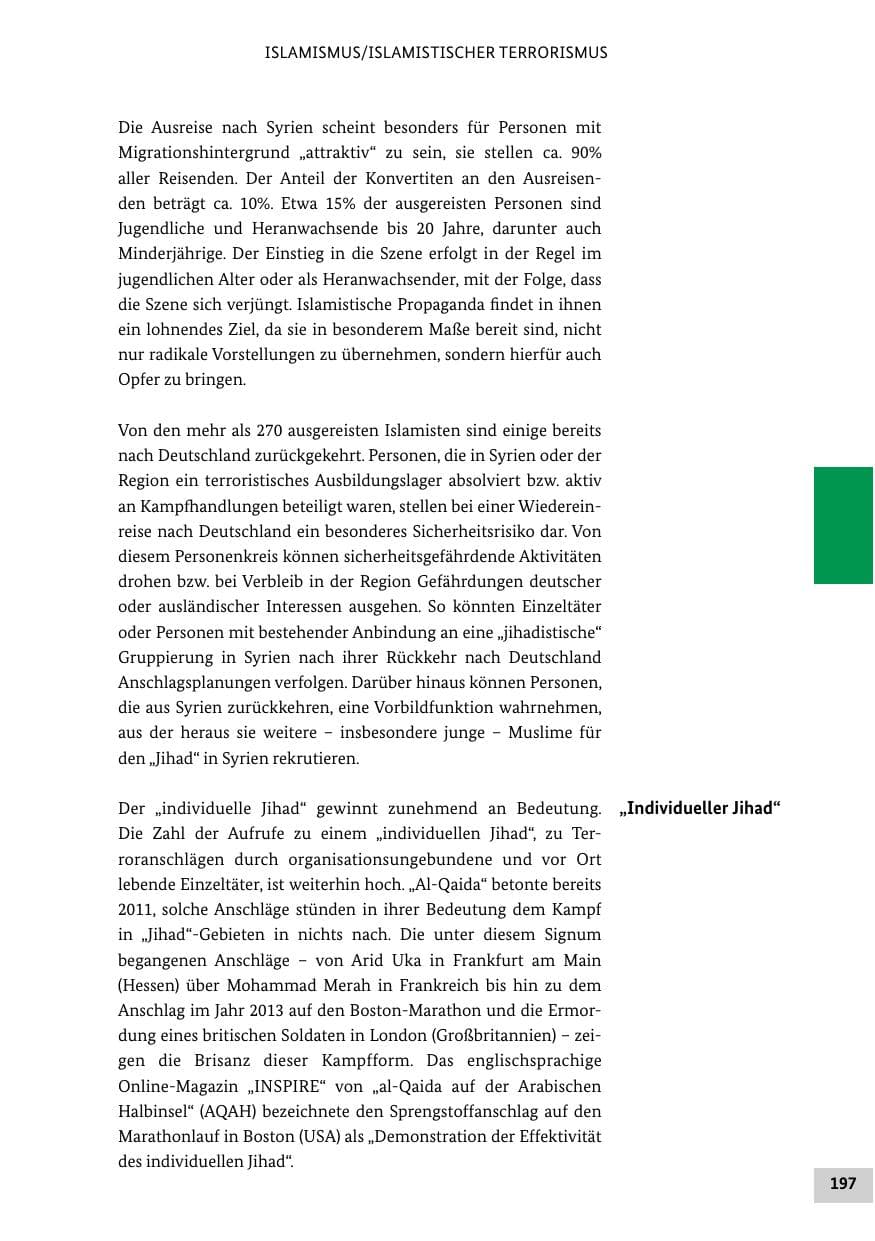 Seite 196 des Verfassungsschutzbericht 2013 Bund