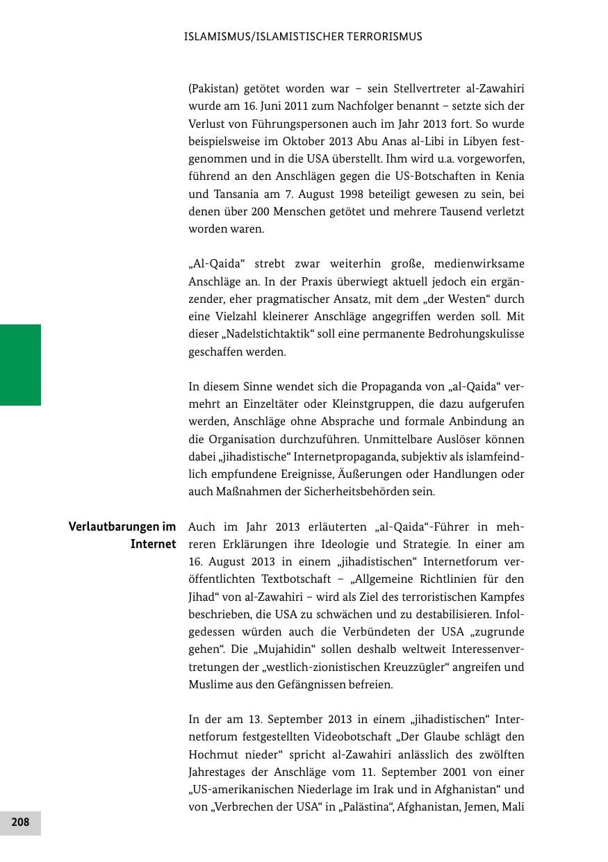 Seite 207 des Verfassungsschutzbericht 2013 Bund