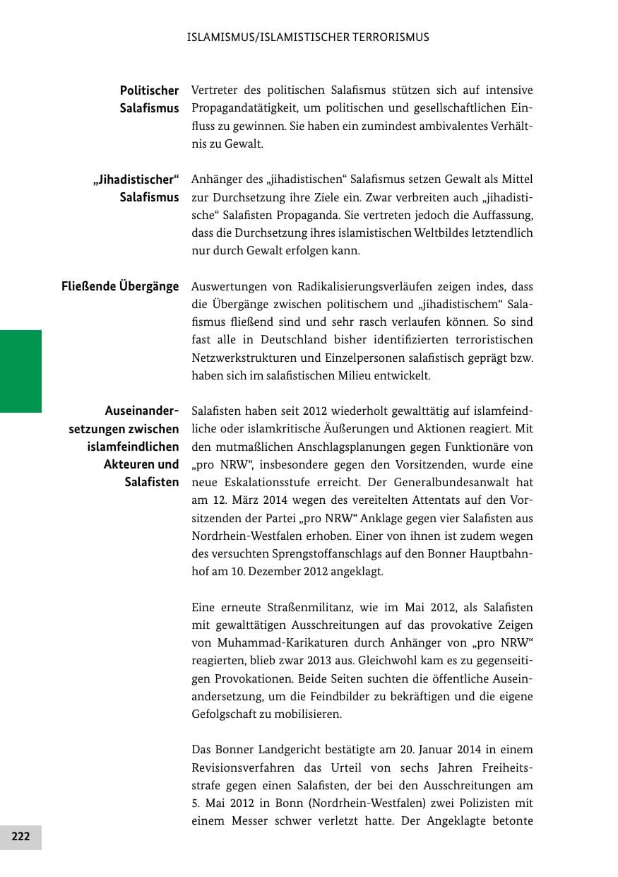 Seite 221 des Verfassungsschutzbericht 2013 Bund