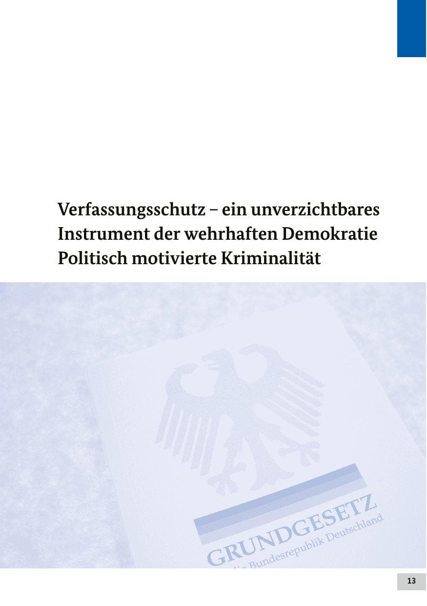 Seite 12 des Verfassungsschutzbericht 2017 Bund