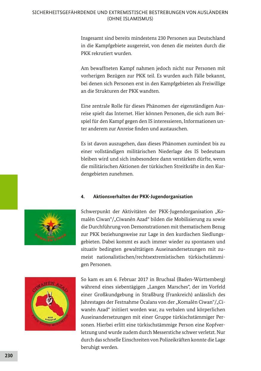 Seite 229 des Verfassungsschutzbericht 2017 Bund