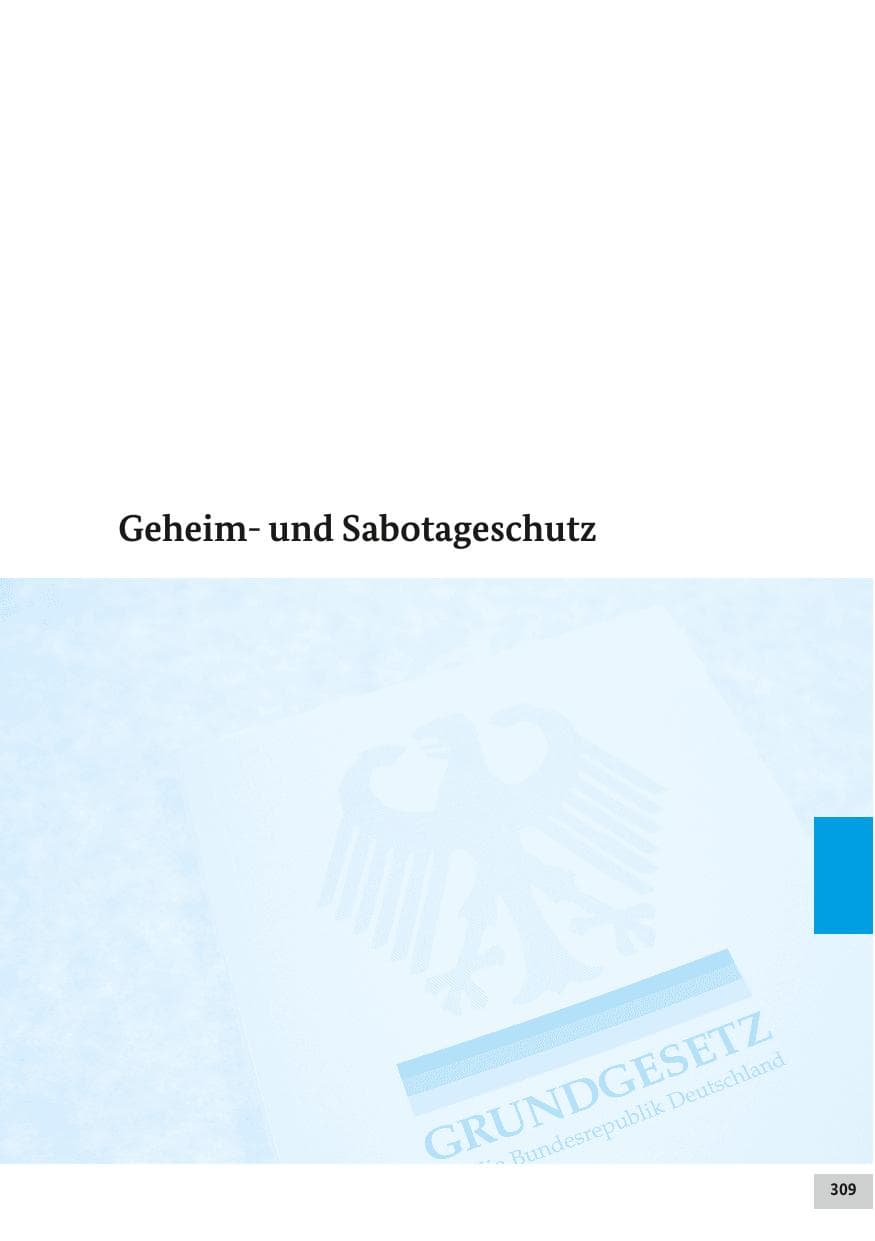Seite 308 des Verfassungsschutzbericht 2017 Bund