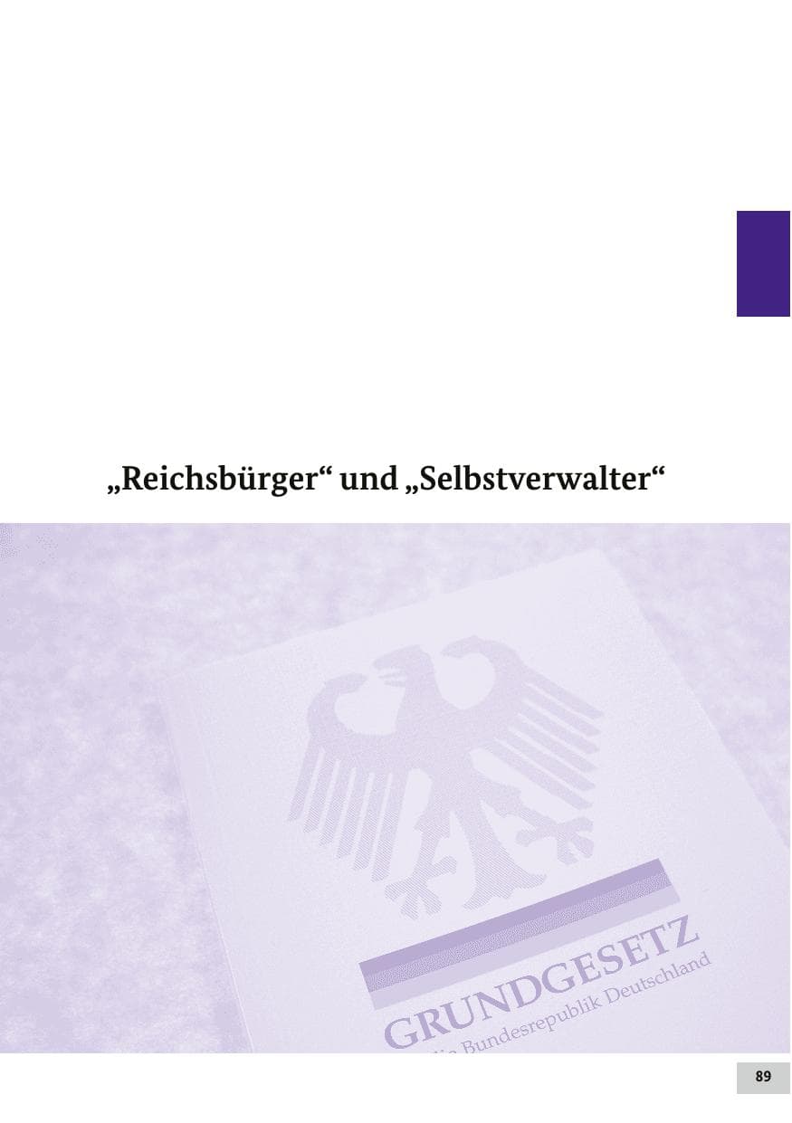 Seite 88 des Verfassungsschutzbericht 2017 Bund