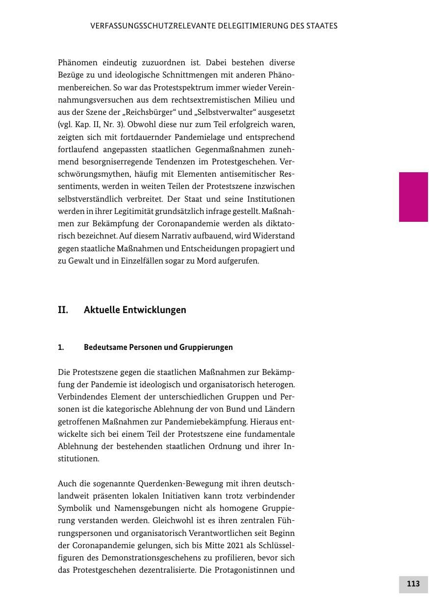 Seite 113 des Verfassungsschutzbericht 2021 Bund