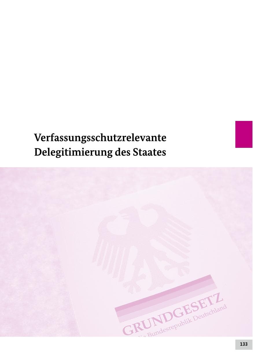 Seite 133 des Verfassungsschutzbericht 2024 Bund