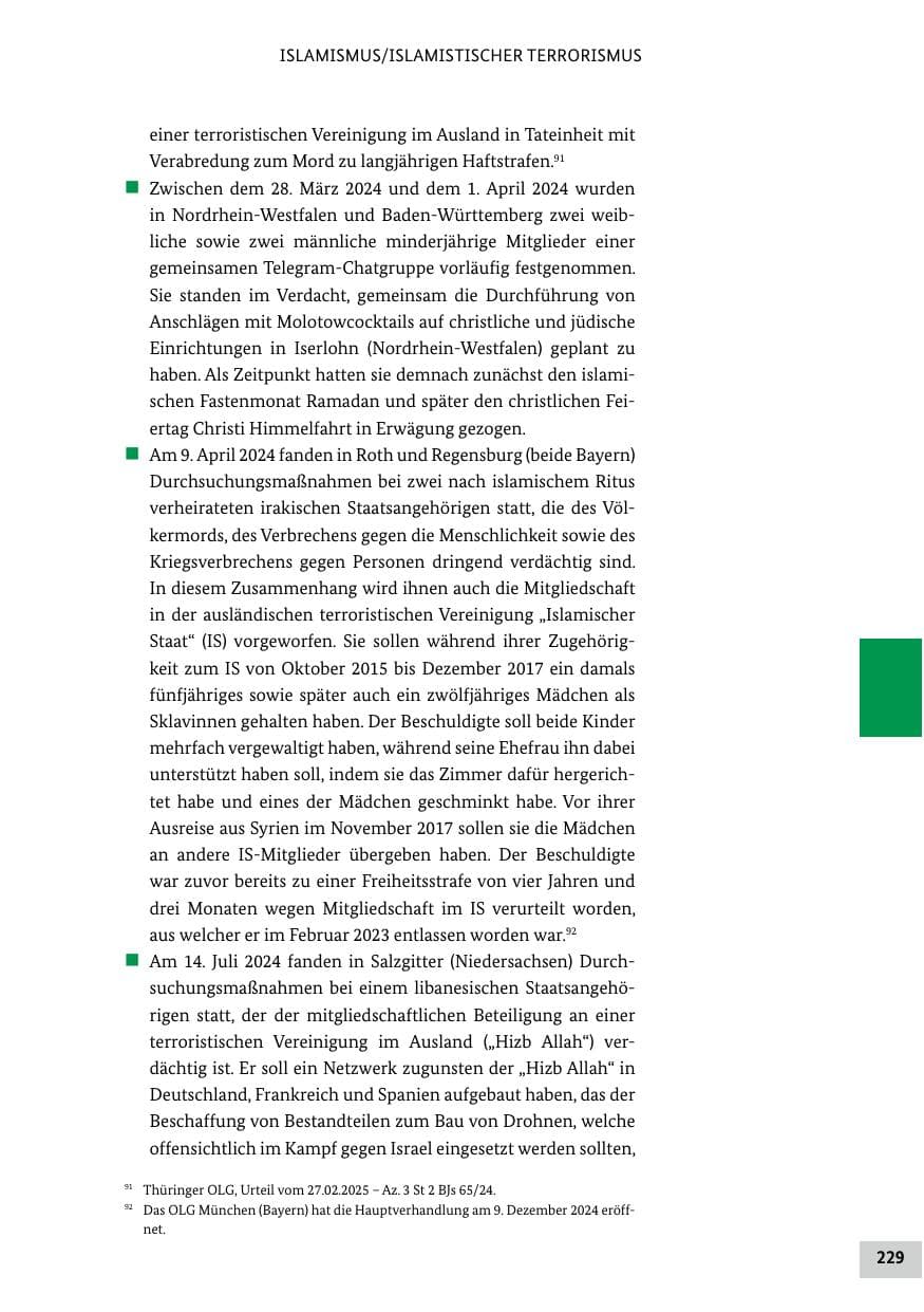 Seite 229 des Verfassungsschutzbericht 2024 Bund
