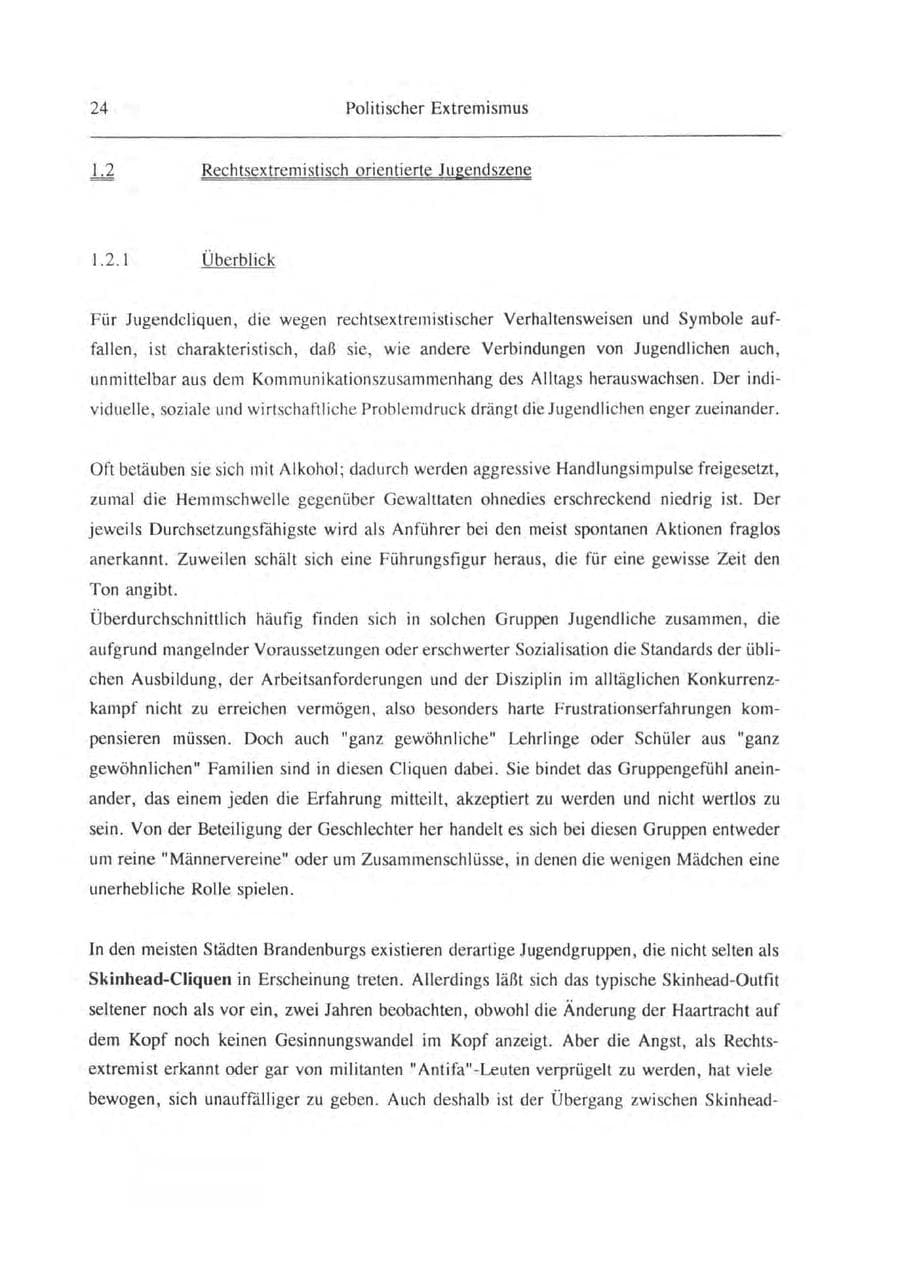 Seite 25 des Verfassungsschutzbericht 1993 Brandenburg