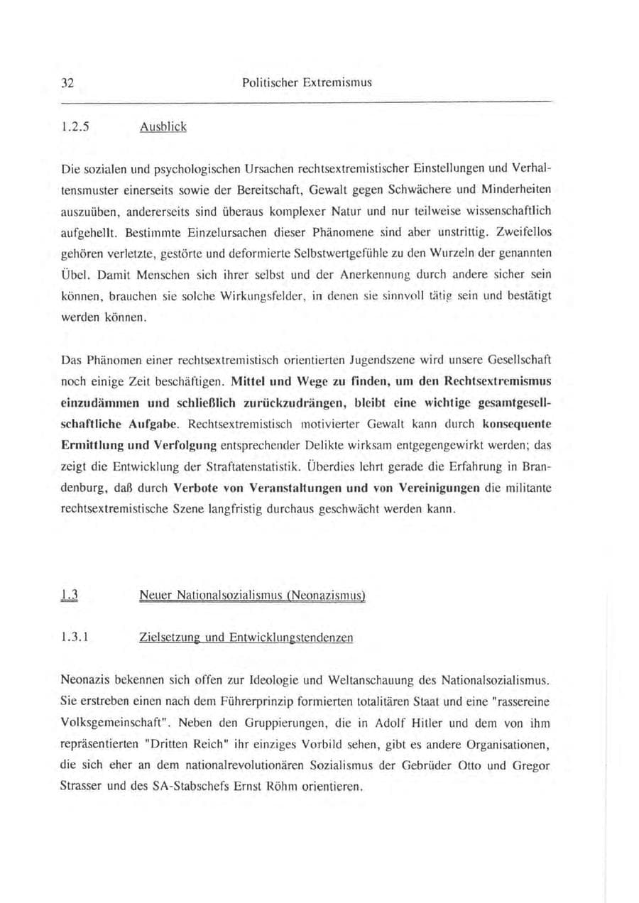 Seite 33 des Verfassungsschutzbericht 1993 Brandenburg