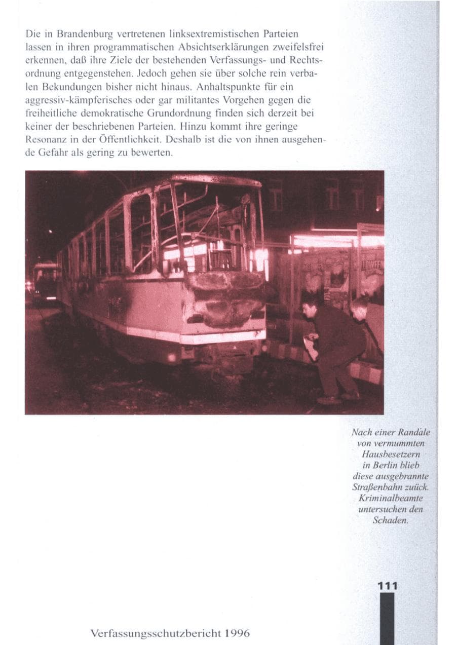 Seite 113 des Verfassungsschutzbericht 1996 Brandenburg