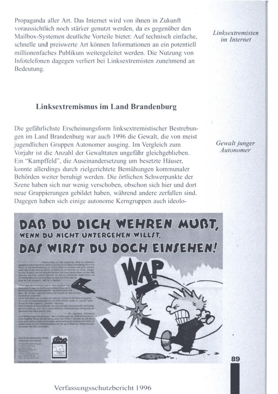 Seite 91 des Verfassungsschutzbericht 1996 Brandenburg