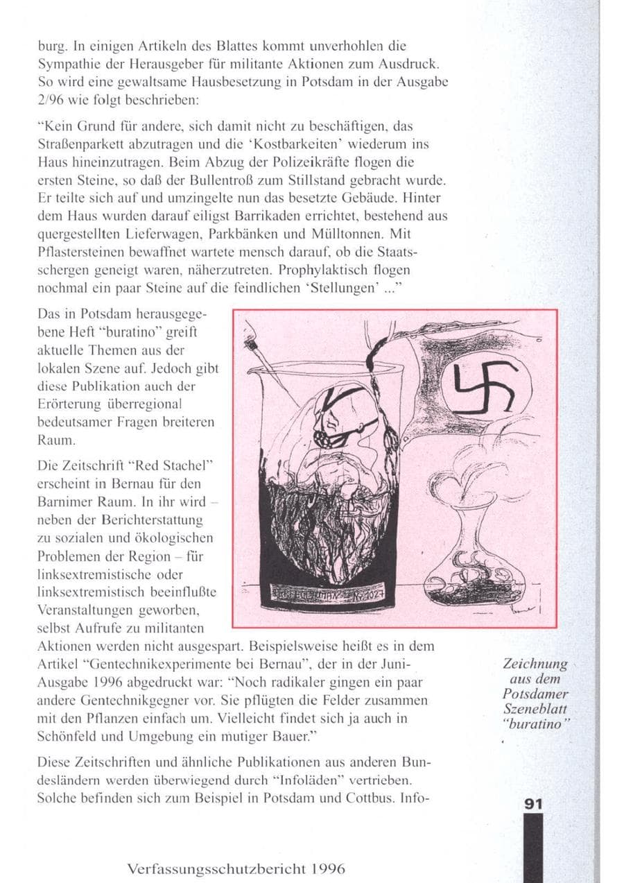 Seite 93 des Verfassungsschutzbericht 1996 Brandenburg