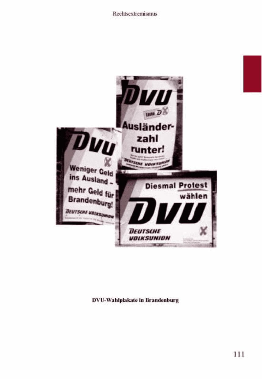Seite 115 des Verfassungsschutzbericht 2001 Brandenburg