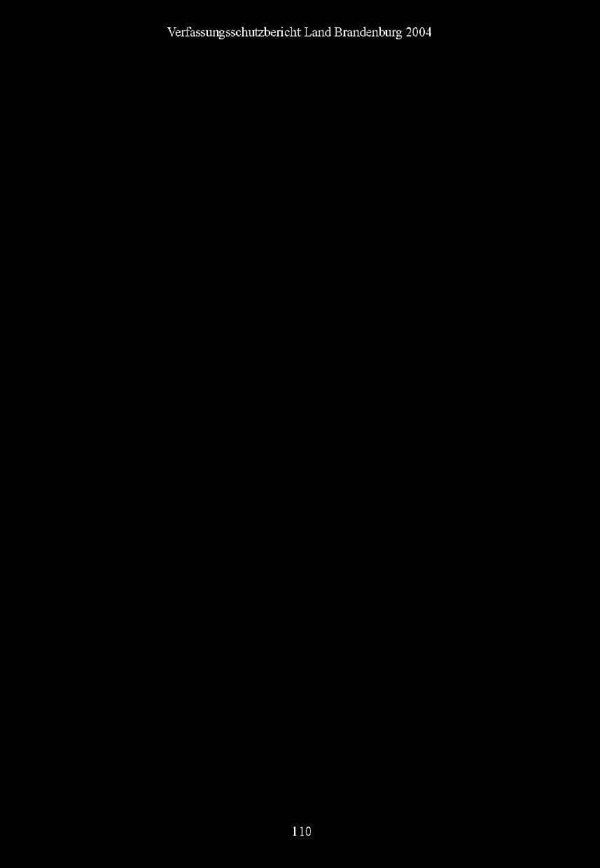 Seite 111 des Verfassungsschutzbericht 2004 Brandenburg