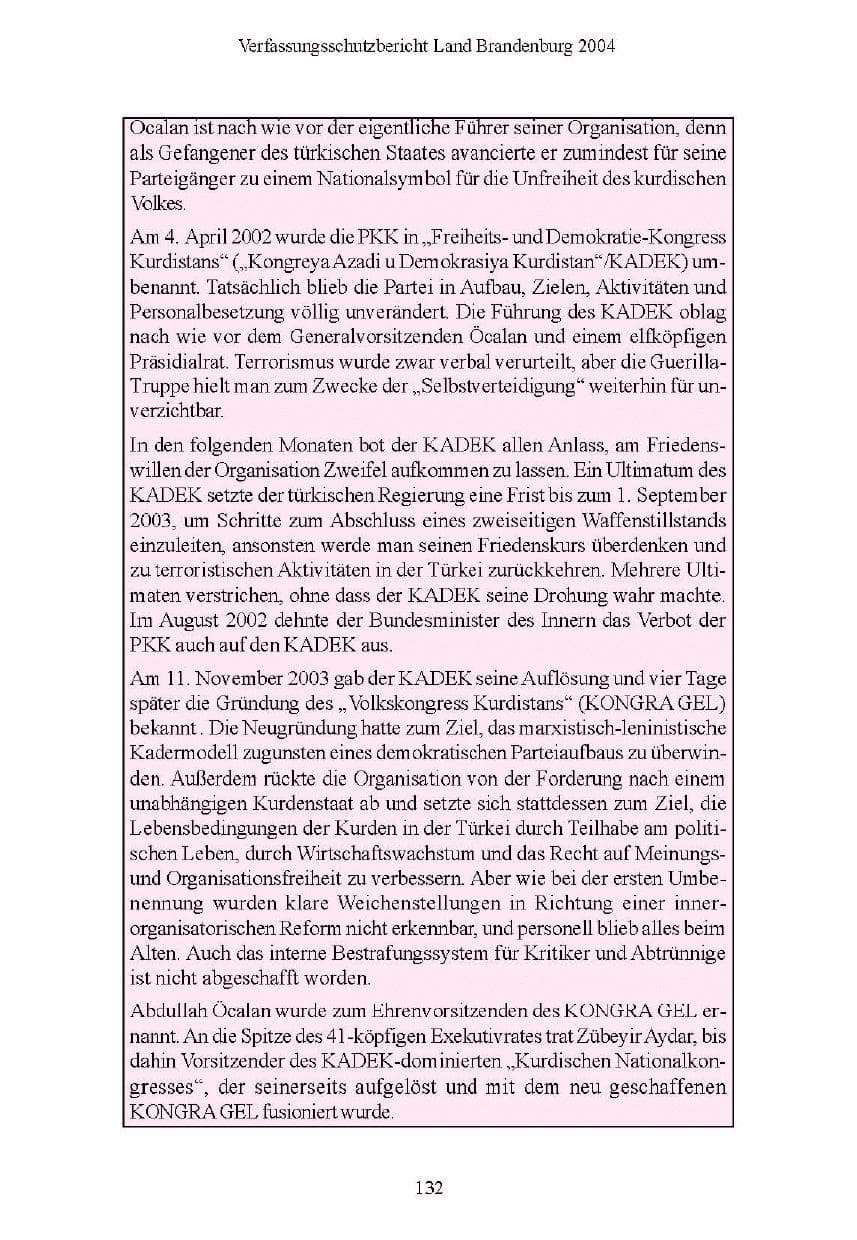 Seite 133 des Verfassungsschutzbericht 2004 Brandenburg