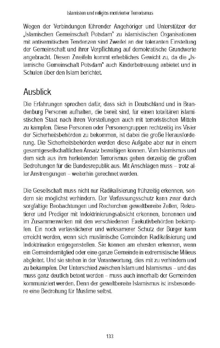 Seite 133 des Verfassungsschutzbericht 2007 Brandenburg