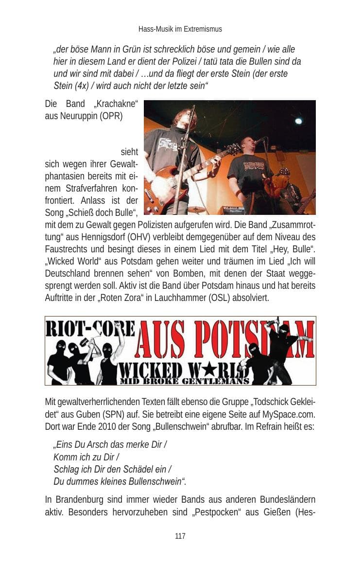 Seite 119 des Verfassungsschutzbericht 2010 Brandenburg