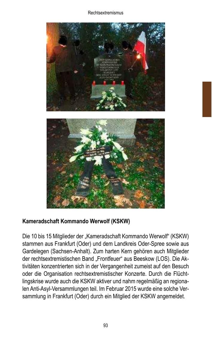 Seite 95 des Verfassungsschutzbericht 2015 Brandenburg