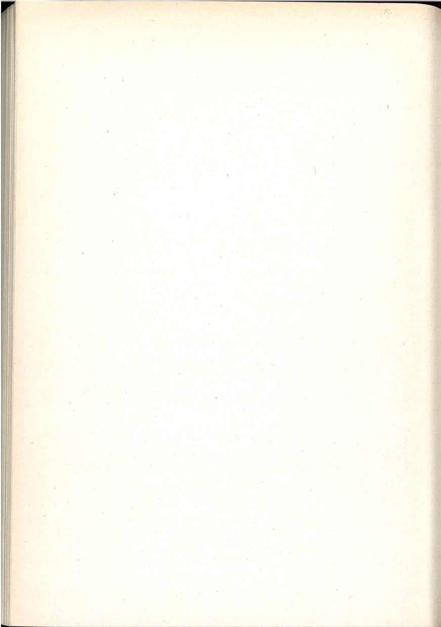Seite 254 des Verfassungsschutzbericht 1992 Berlin