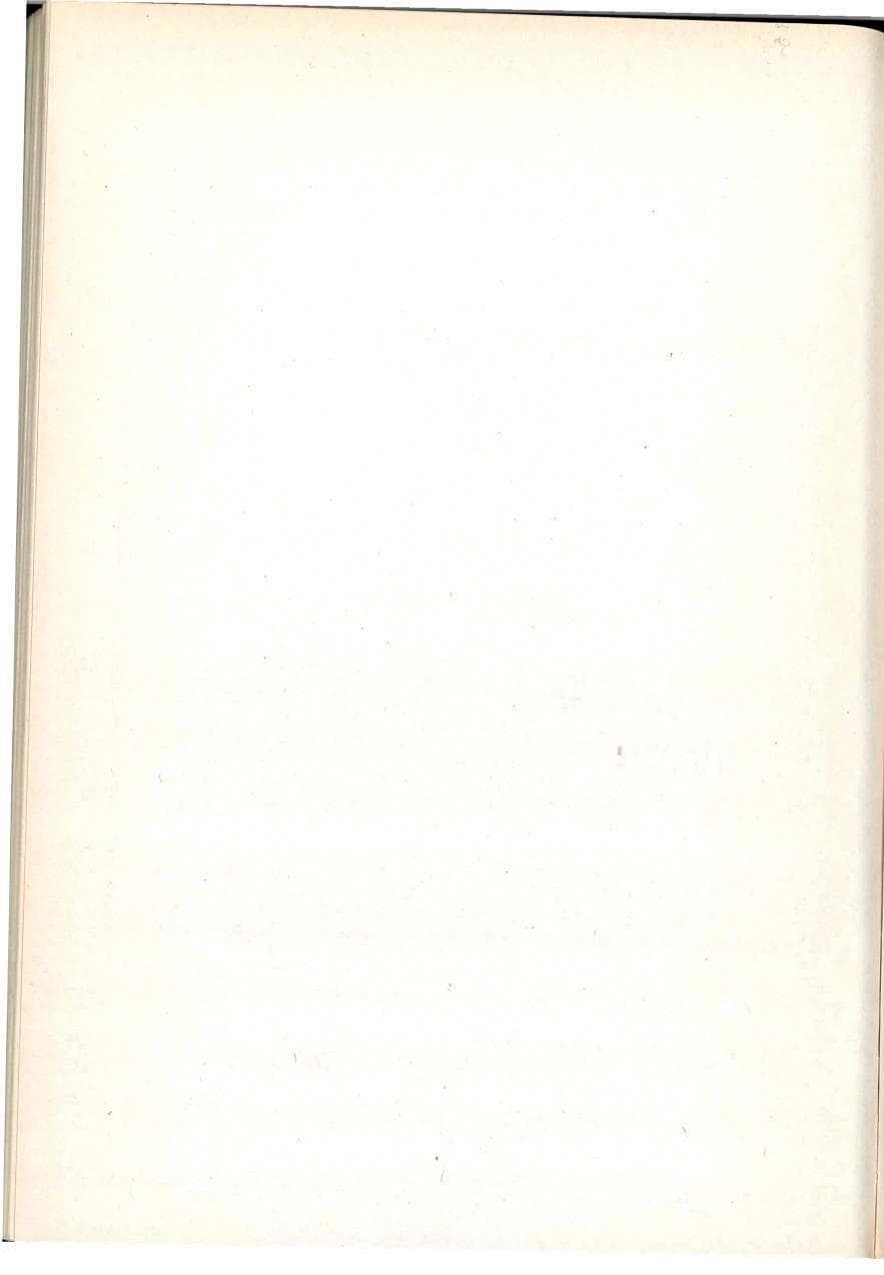 Seite 256 des Verfassungsschutzbericht 1992 Berlin