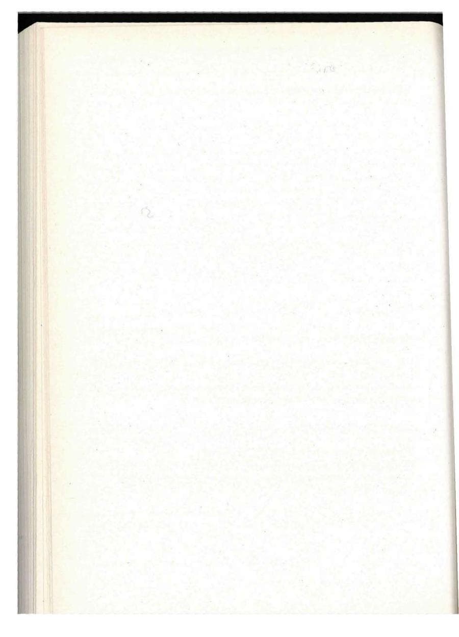 Seite 196 des Verfassungsschutzbericht 1993 Berlin