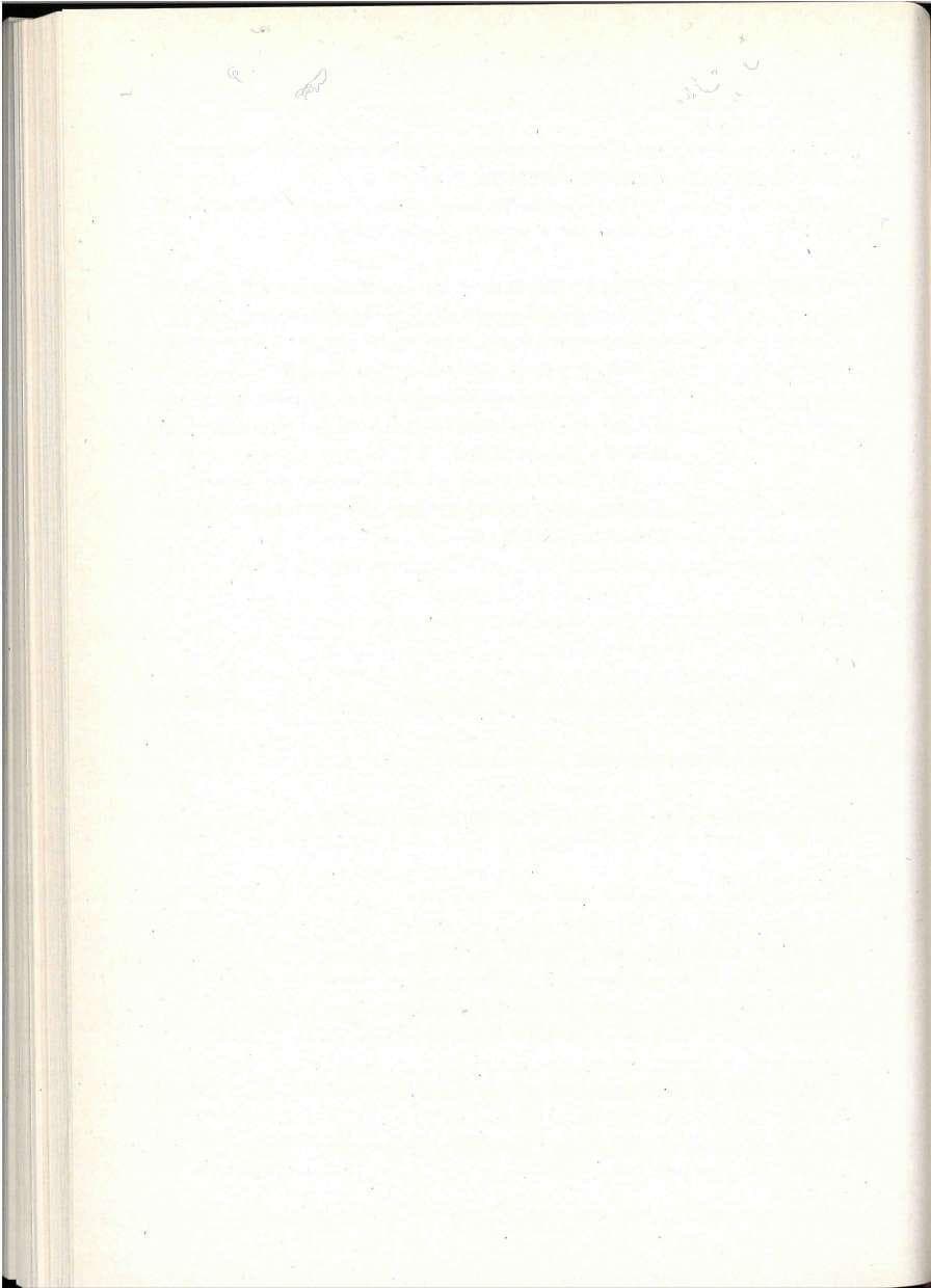 Seite 306 des Verfassungsschutzbericht 1993 Berlin