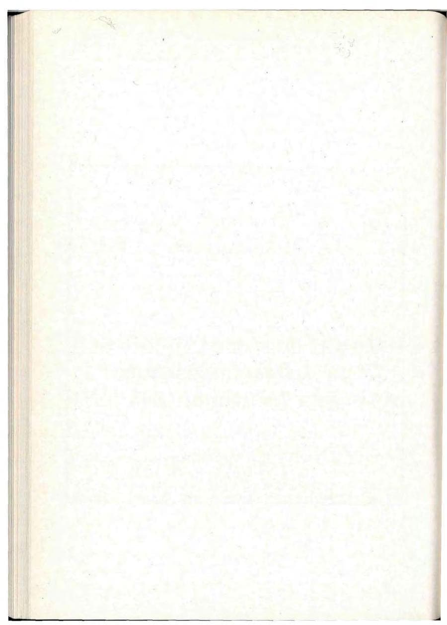 Seite 316 des Verfassungsschutzbericht 1993 Berlin
