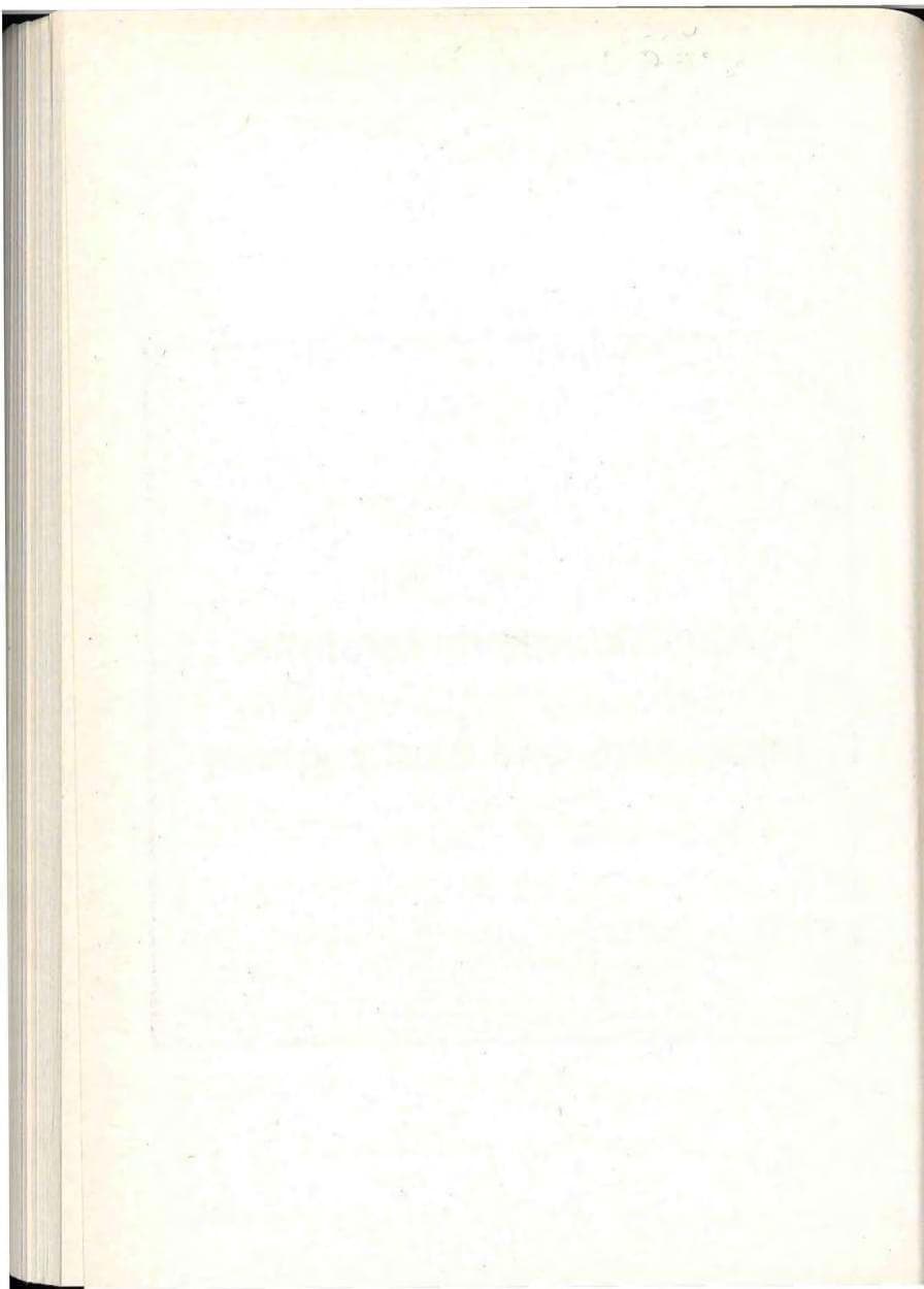 Seite 326 des Verfassungsschutzbericht 1993 Berlin