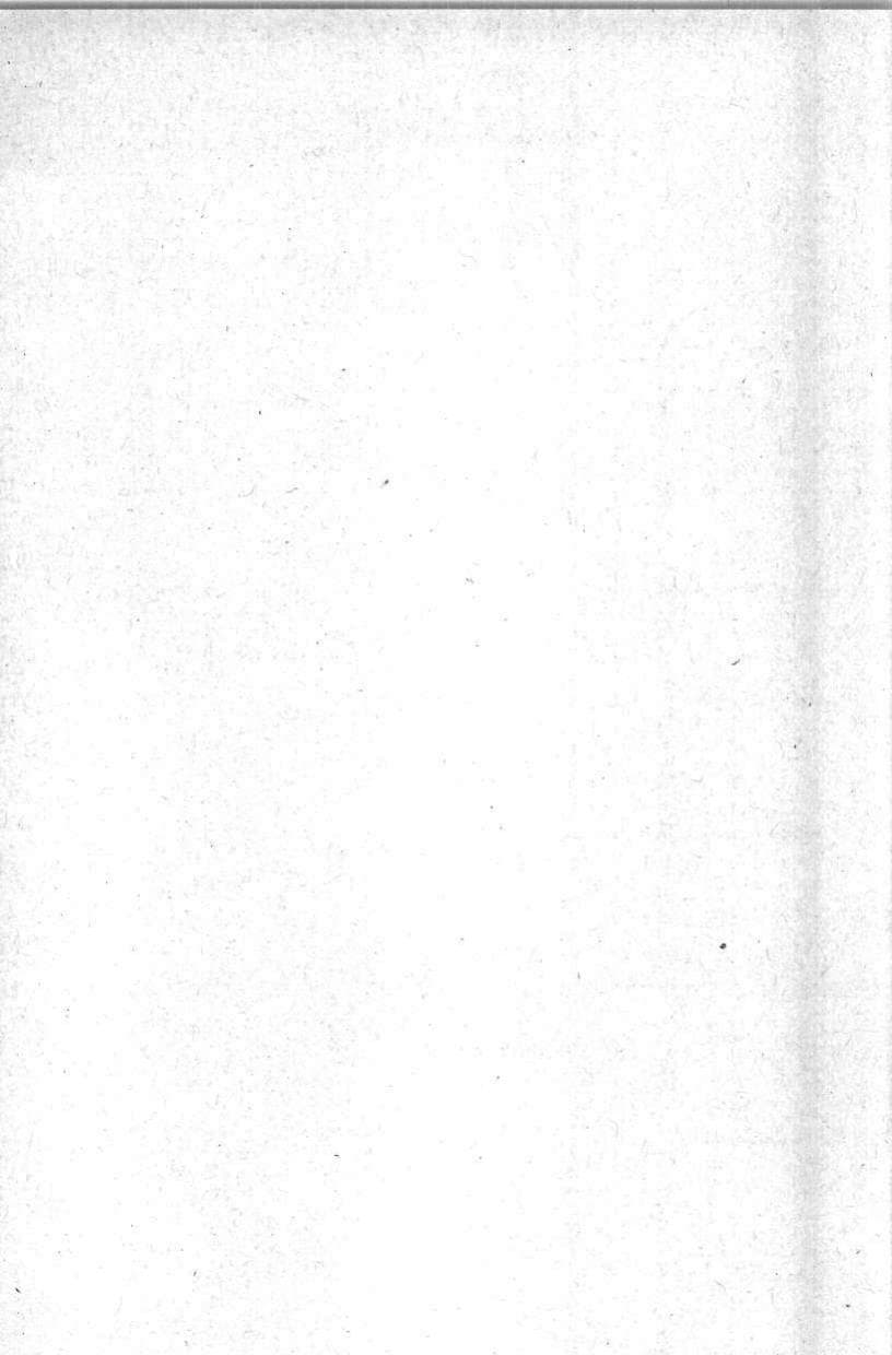 Seite 208 des Verfassungsschutzbericht 1997 Berlin