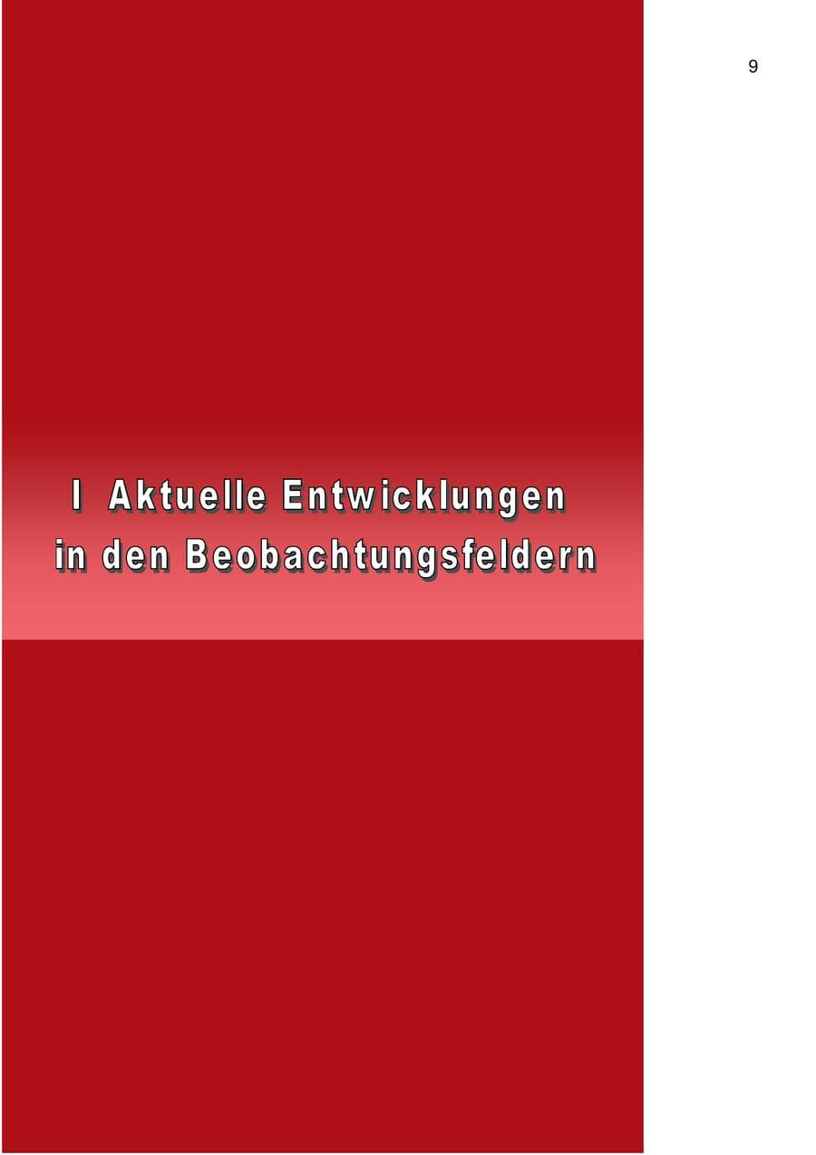 Seite 13 des Verfassungsschutzbericht 2002 Berlin